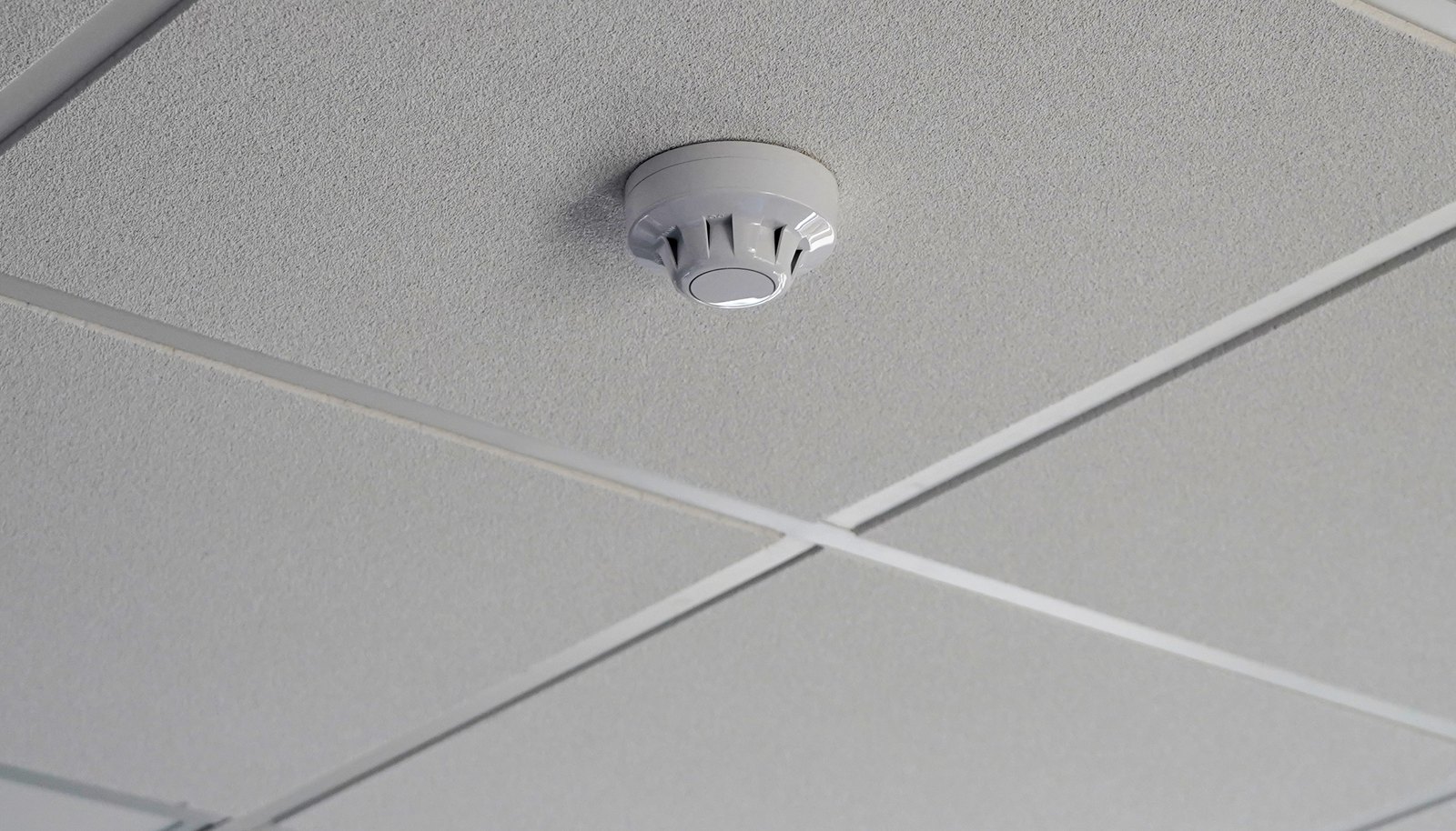 Smoke detector fitted to a suspended office ceiling